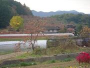 里山の秋(柿)の写真1