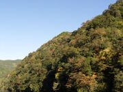 松原ダム遊覧船(杖立温泉コース)の写真1