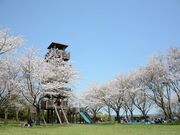 城山公園の写真1