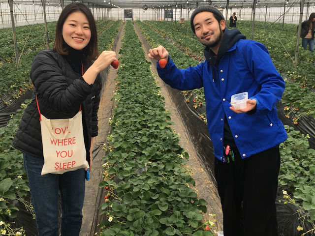 鈴木いちご園