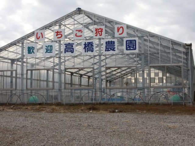 高橋農園の写真1