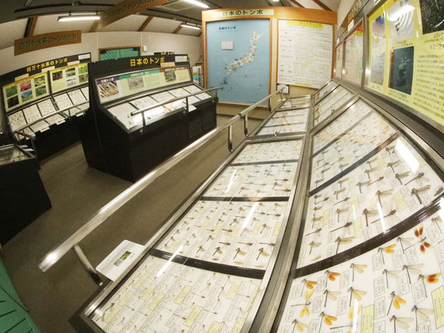 四万十川学遊館あきついお