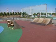 神栖総合公園の写真3