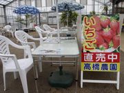 高橋農園の写真2