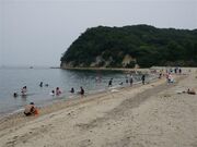 田の浦海岸の写真1