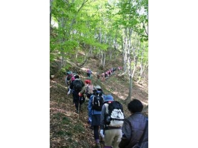 葉山の写真1