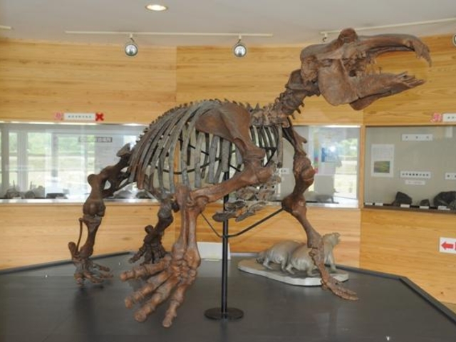 埼玉の奇獣パレオパラドキシア_おがの化石館