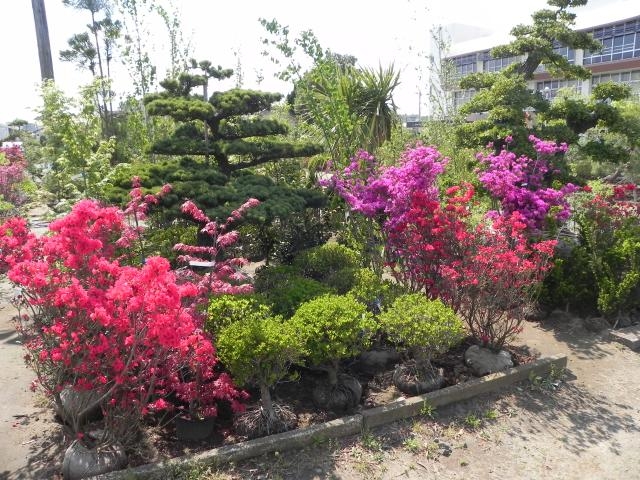 八日市場植木組合の写真1