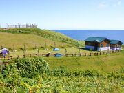 焼尻白浜野営場(キャンプ場)の写真1