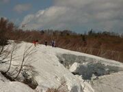 葉山の写真4