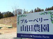 山田農園の写真2