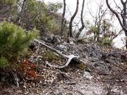 加治田城趾の写真2