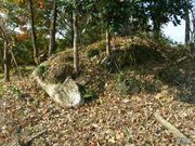 祢宜屋古墳群の写真2