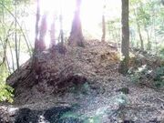 祢宜屋古墳群の写真4