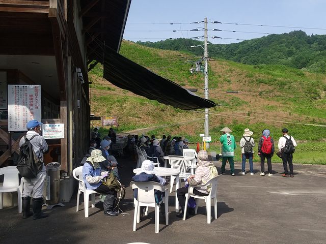 駐車場、トイレなどが充実_丸渕観光わらび園