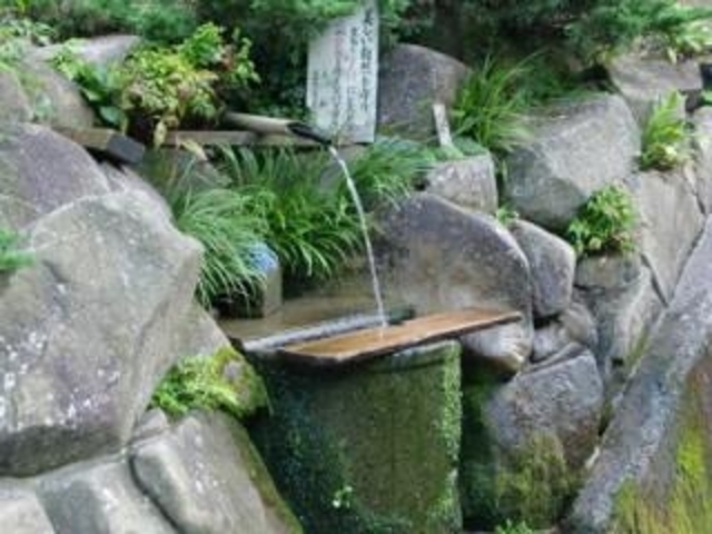 長生きの水の写真1