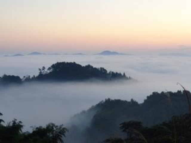 塚ヶ峠雲海の里の写真1