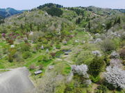 雪国植物園の写真2