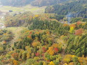 雪国植物園の写真4