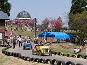 こども自然王国の写真2