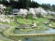 下条川ダム【キャンプ場】の写真3