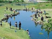 胎内フィッシングパークの写真2