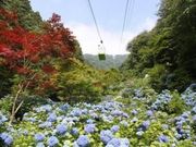弥彦山ロープウェイの写真3