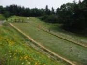 田上町総合公園YOU遊ランドキャンプ場の写真3