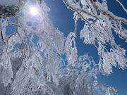 YAMABOKU WILD SNOW PARKの写真2