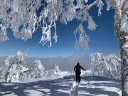 YAMABOKU WILD SNOW PARKの写真3