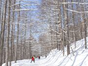 YAMABOKU WILD SNOW PARKの写真4
