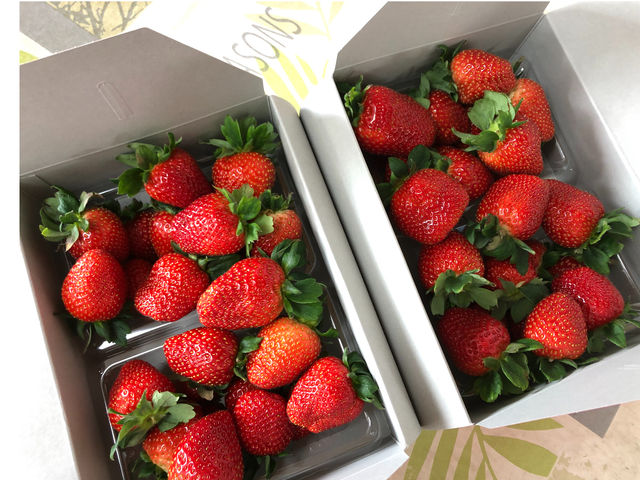 直売にて販売もしています。_大野観光いちご園