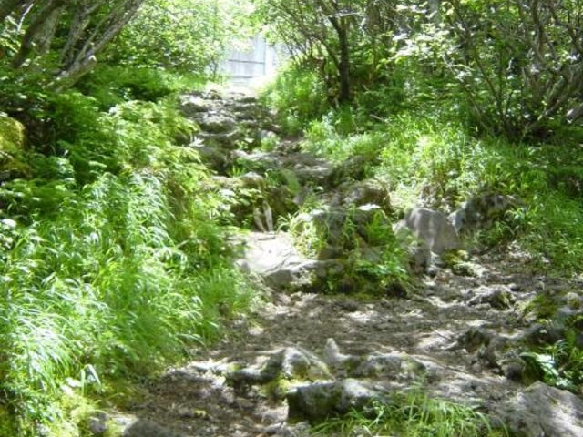 吉田口登山道の写真1