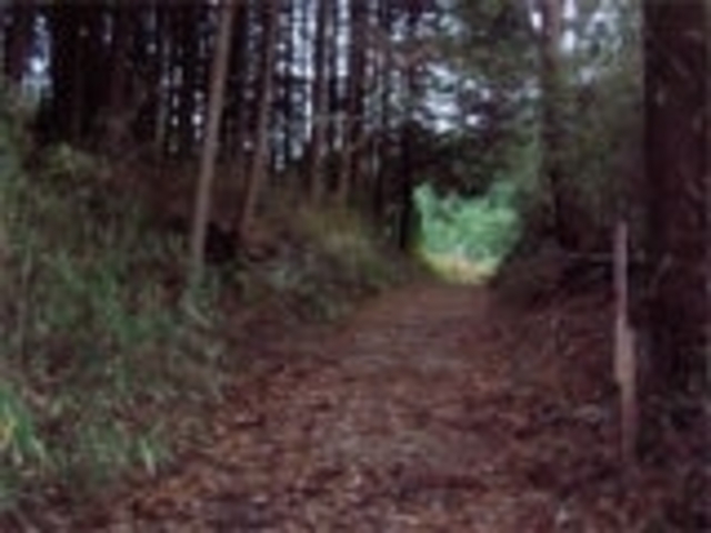 信楽街道?家康伊賀越えの道の写真1