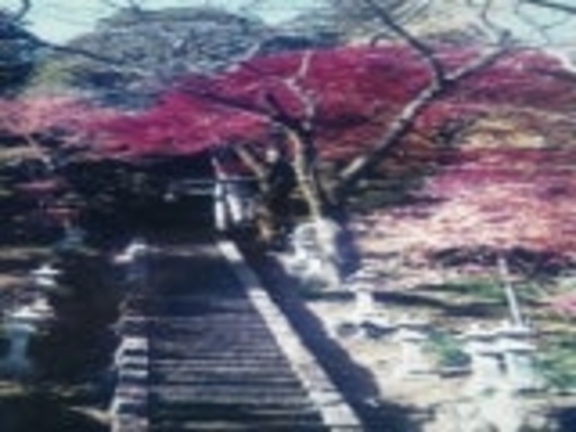 和束町観光案内所の写真1