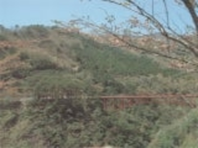 西中国山地国定公園の写真1