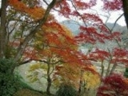 和束町観光案内所の写真2