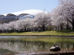 新潟県スポーツ公園の写真1