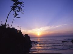 田ノ浦海岸の写真1