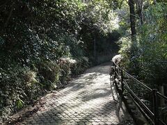 城山公園の写真1