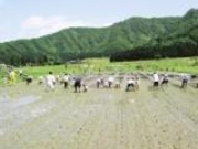 南魚沼市農業体験大学校の写真3