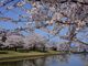 新潟県スポーツ公園の写真3