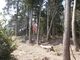 多宝山・丸小山公園登山口(天神山ルート)の写真2