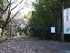 城山公園の写真4
