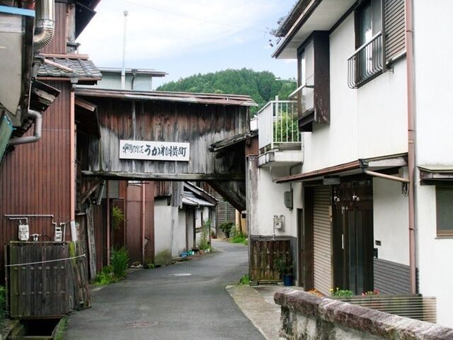 中馬街道 うかれ横丁の写真1