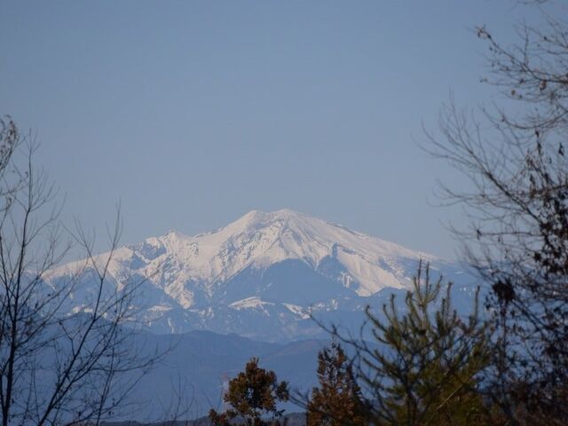 すわがね(鶴岡山)の写真1