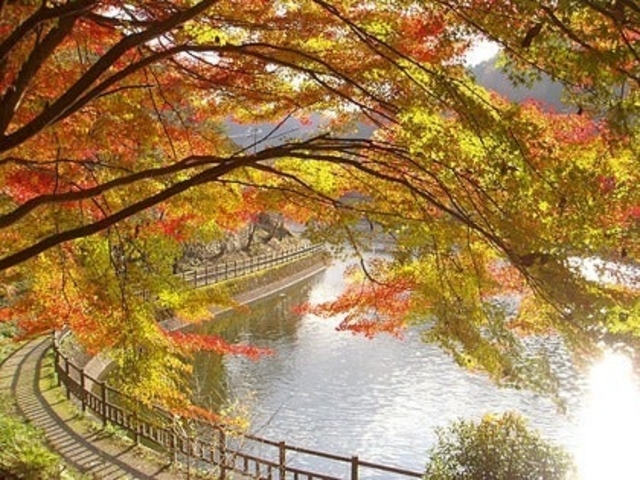 伊自良湖・甘南美寺の写真1