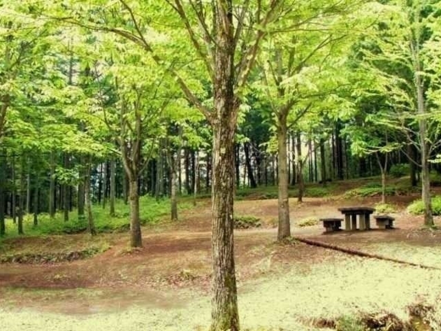 飛騨市森林公園キャンプ場