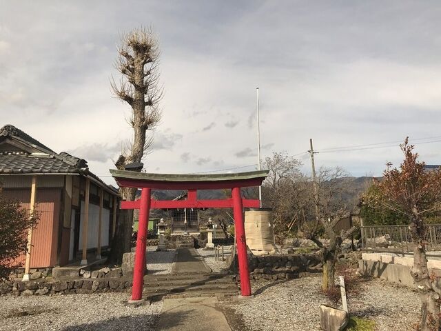 黒田長政お手植えの銀杏の木・五明稲荷神社の写真1