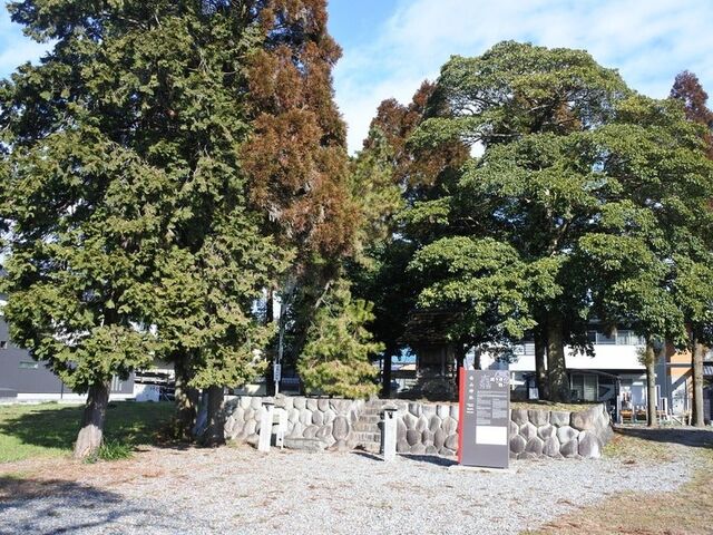白山神社 (旗懸けの松)の写真1